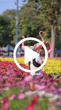 BIB:  <button type="button" onclick="openModal(27588562)" class="btn btn-primary btn-sm float-right" data-toggle="modal" data-target=".modal-high-quality">
                <i class="fa fa-download"></i> Download
                </button>